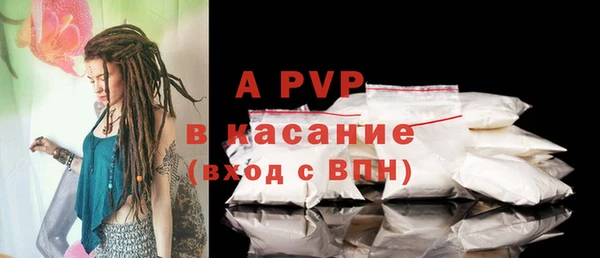 амф Корсаков