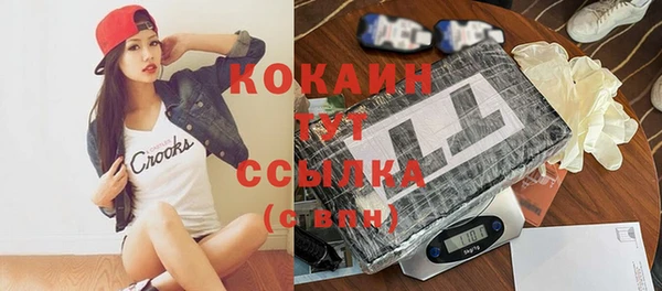 амф Корсаков