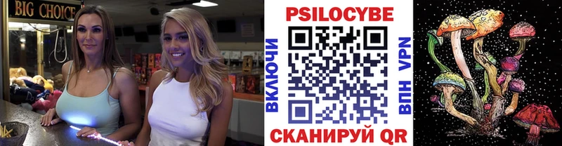 Галлюциногенные грибы Psilocybe  Королёв 